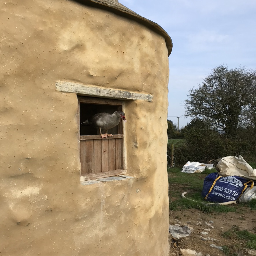 bagrub in cornwall